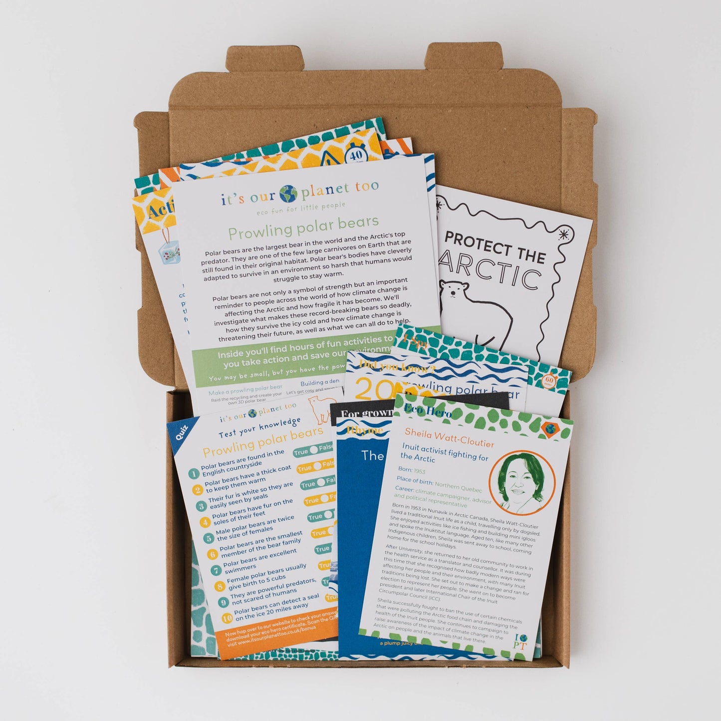 CHILDREN'S ECO ACTIVITY BOX - Prowling polar bears