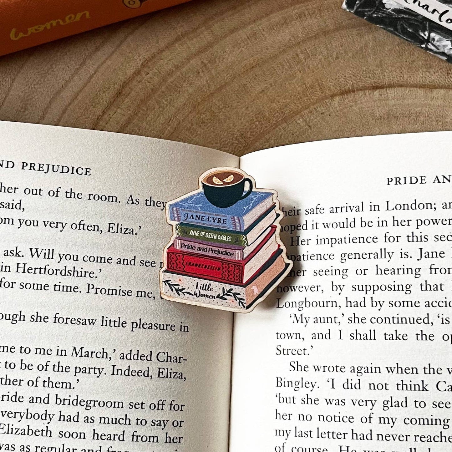 Books By Classic Women Wooden Pin