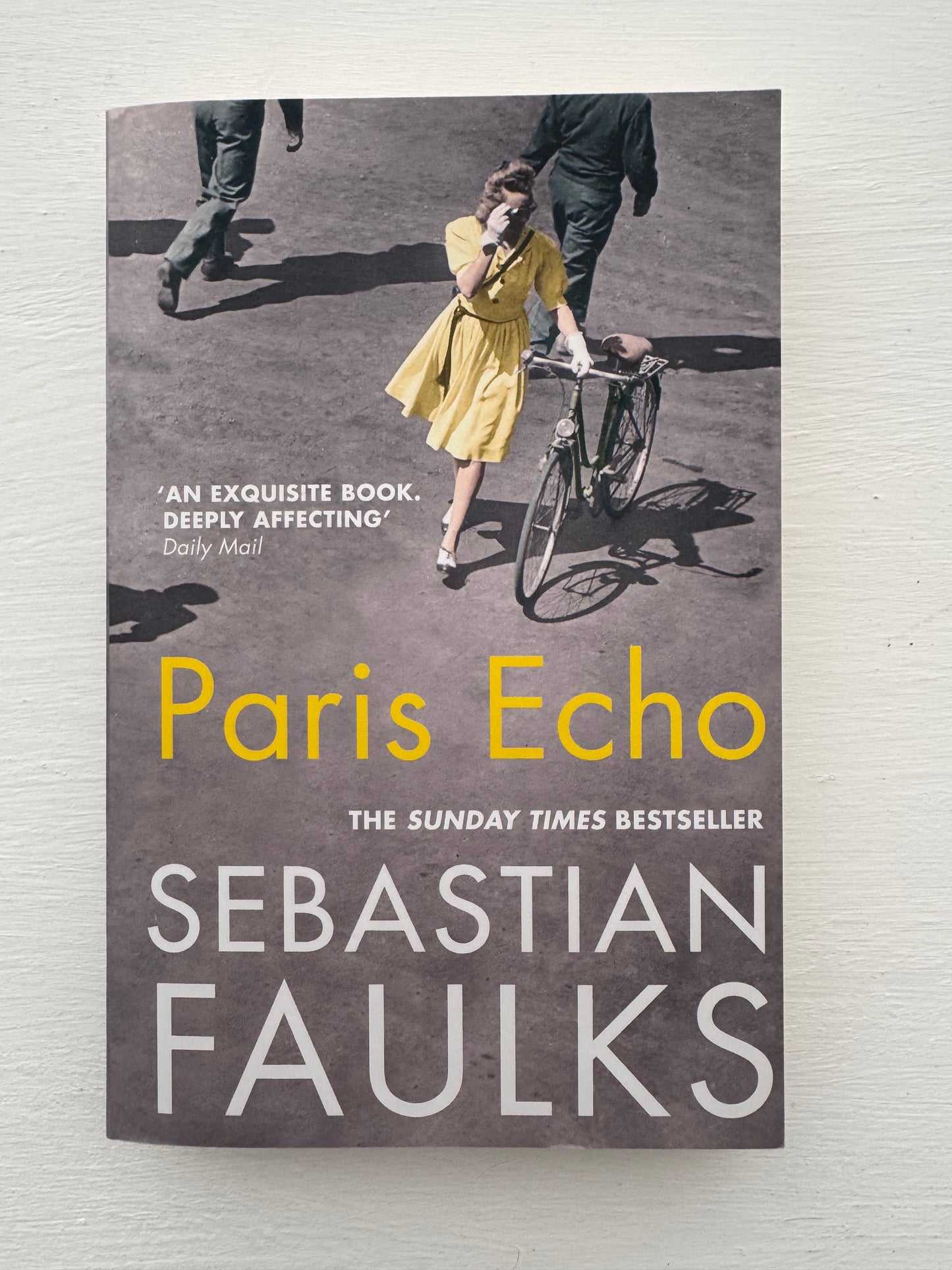 Paris Echo by Sebastian Faulks