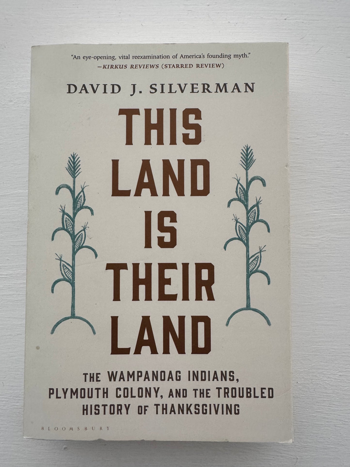 This Land Is Their Land: The Wampanoag Indians, Plymouth Colony, and the Troubled History of Thanksgiving by David J Silverman